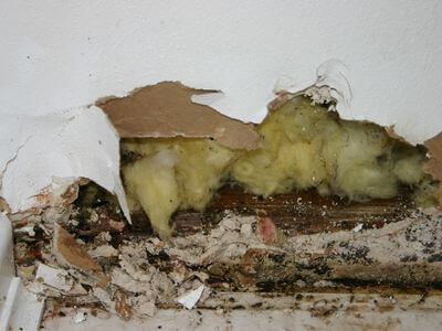 Professional water damage restoration services in Maple Grove - Water Damage Restoration Maple Grove